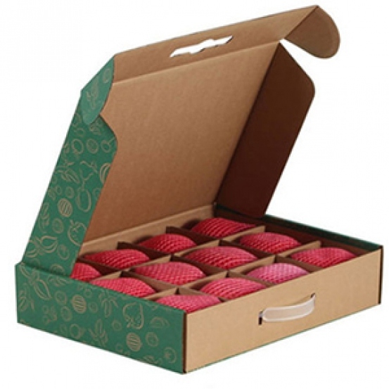 冷藏保鮮 冷鏈運輸